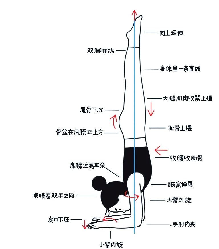 业余篮球队比赛前训练计划怎么写_2